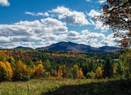 Vermont Outfitter Directory