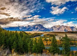 Wyoming Outfitter Directory