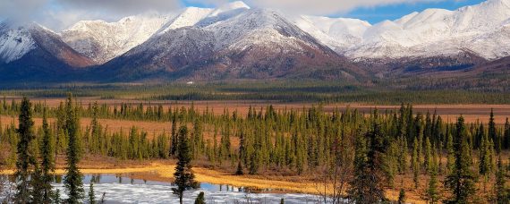 Alaska Guided Hunting and Fishing Trips