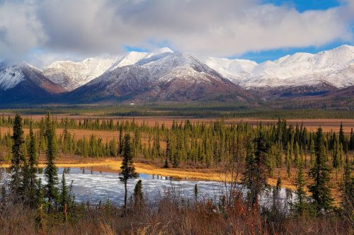 Alaska Dall Sheep Guides | Nation Wide Guides | Outfitter Directory