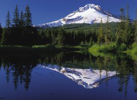 Oregon Outfitter Directory