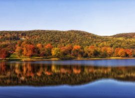 Connecticut Outfitter Directory