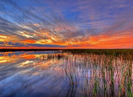 Florida Outfitter Directory