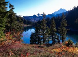 Washington Outfitter Directory