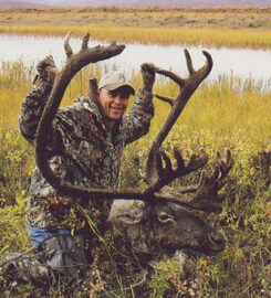 Alaska Dall Sheep Guides