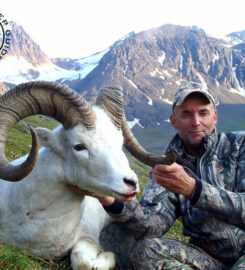 Alaska Dall Sheep Guides