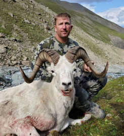 Alaska Dall Sheep Guides