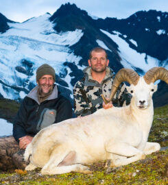 Alaska Dall Sheep Guides