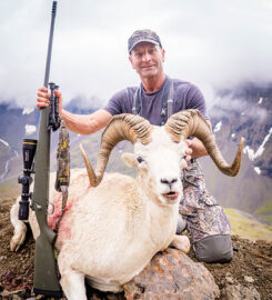 Alaska Dall Sheep Guides