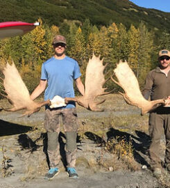 Alaska Dall Sheep Guides