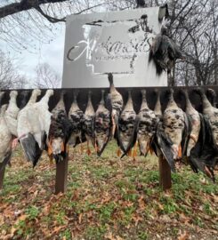 Arkansas Duck Masters