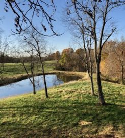 Whitetail Kentucky Outdoors