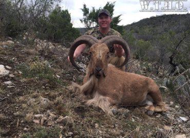 West Texas Hunting