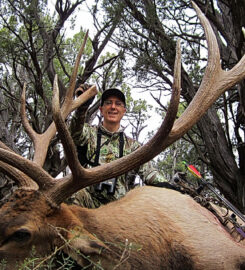 Arizona Elk Guides