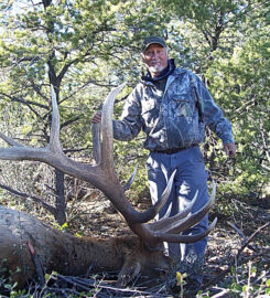 Arizona Elk Guides